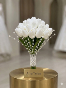 مسكة التوليب البيضاء — Alba Tulipa