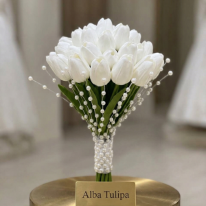مسكة التوليب البيضاء — Alba Tulipa